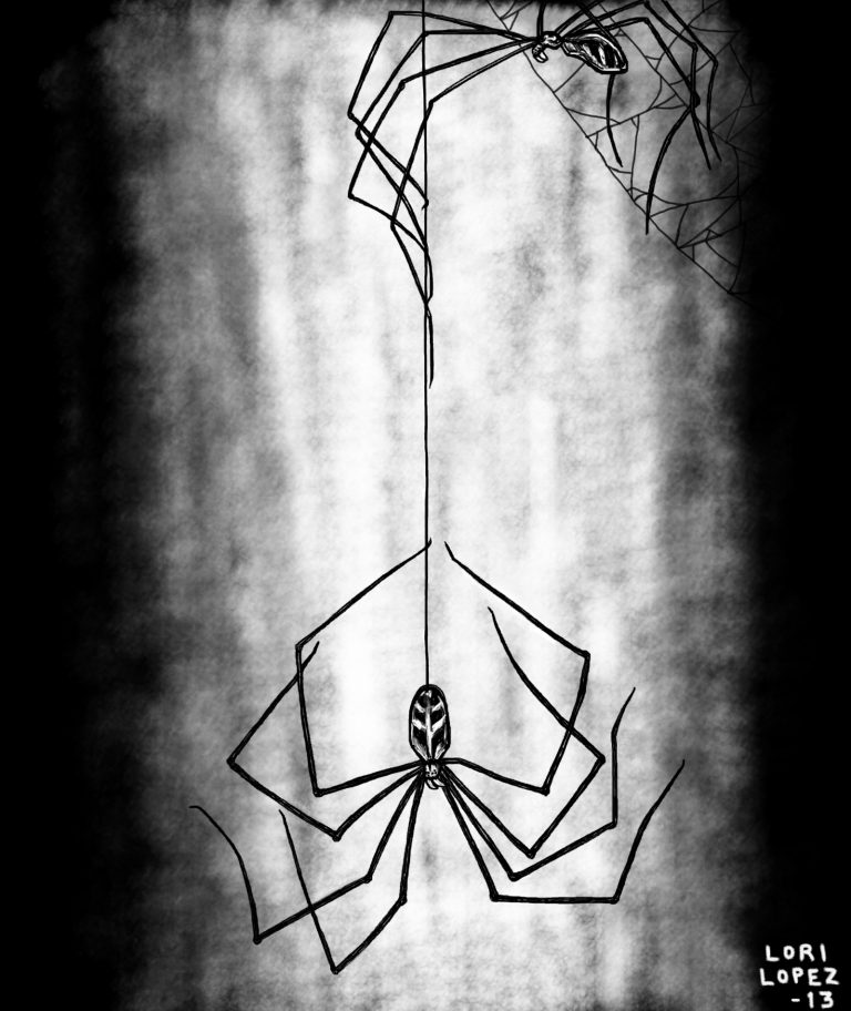 Read more about the article Illustration: Lucy And Ethel