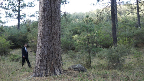 A World Of Words Book Trailer 2