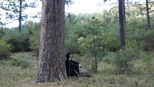 A World Of Words Book Trailer 3