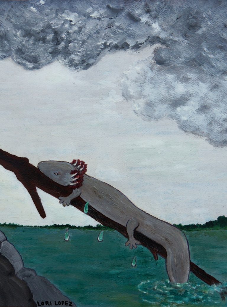 Read more about the article Cover Art: The Mudpuppy