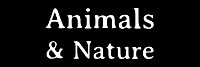 Animals & Nature Book Collection Button For Book Page