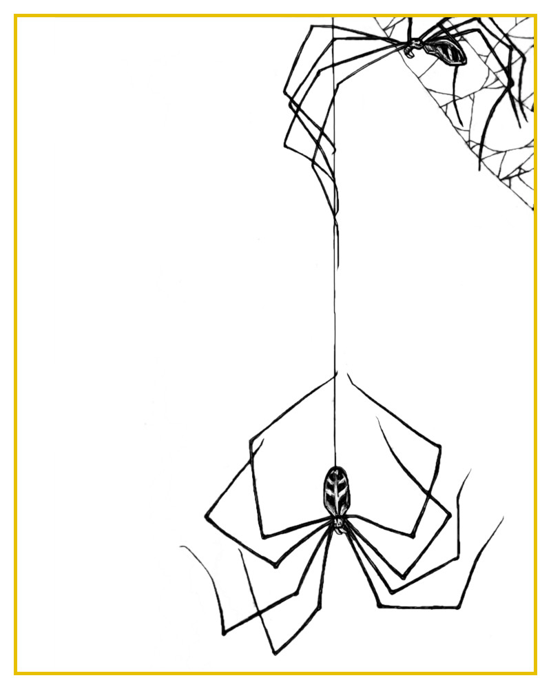 Lucy And Ethel Character Headshot