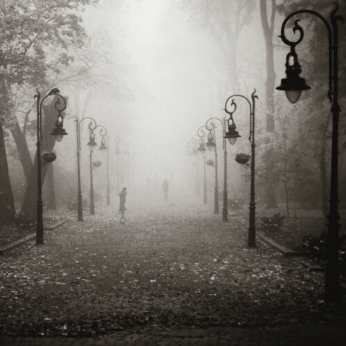 Mister Snark Lurking on Foggy Street